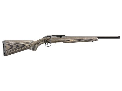 Ruger American Rimfire Target - 1