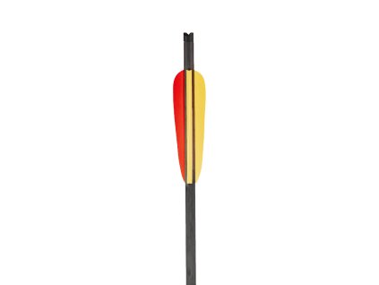 CARBON BOLT (1)