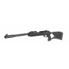 gamo roadster 10x igt