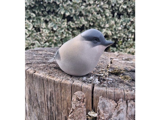 Pěnice černohlavá