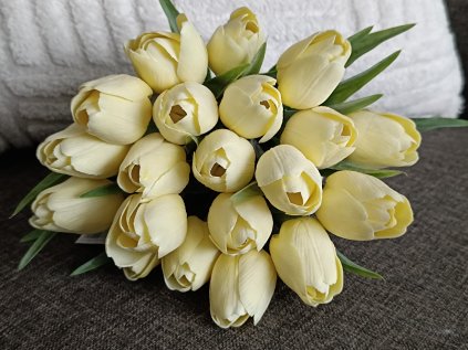 Tulipán světle žlutý