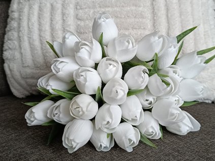 Tulipán bílý