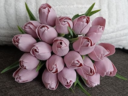 Tulipán pudrový