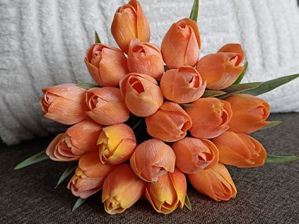 Tulipán oranžový