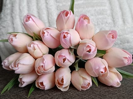 Tulipán dětská růžová