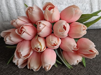 Tulipán broskvově oranžový