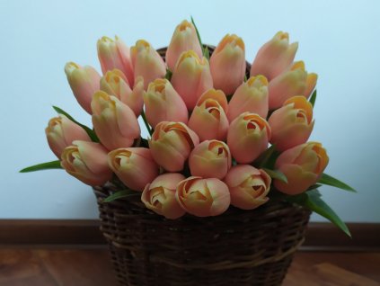 Tulipán broskvově oranžový