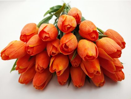 Tulipán Light Orange A81