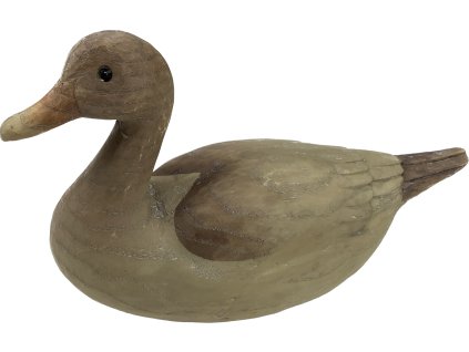 FL6241689