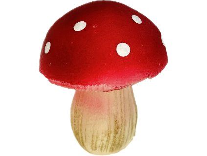 Mochomůrka pěnová