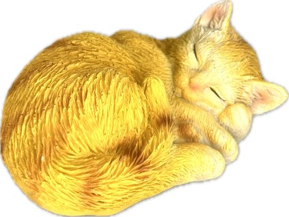 Obrázek