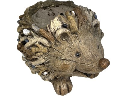 Obrázek