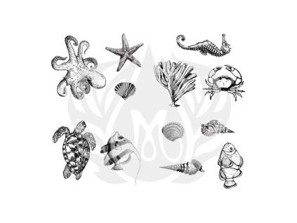 Mayco Designer Silkscreen Sea Life -DSS102