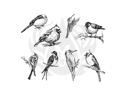 Mayco Designer Silkscreen Aviary Small Birds-DSS108