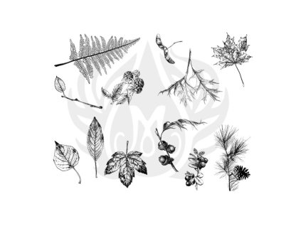 10367 mayco designer silkscreen botanical leaves