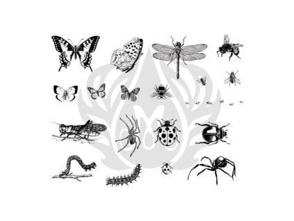 DSS113-Mayco Designer Silkscreen Bugs