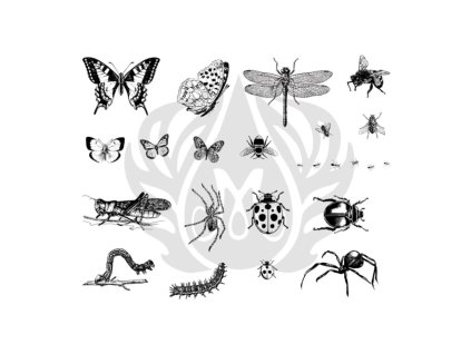 Mayco Designer Silkscreen Bugs-DSS113