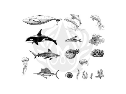 Mayco Designer Silkscreen Sea Life 2-DSS131