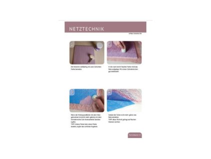 10529 technique sheet net technique