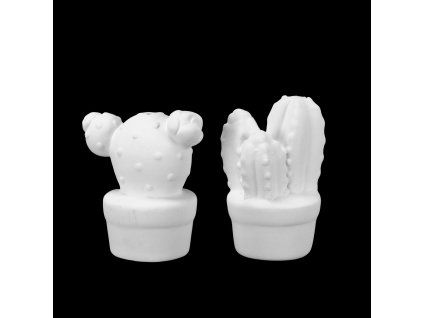PIKSET-Cactus Shaker Set (2 pcs.)