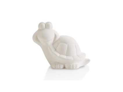 5381 emma the turtle