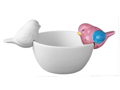 RAVO-Edge Figure: Bird