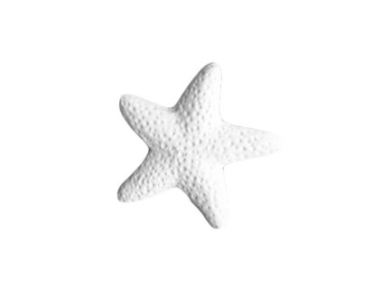 TA5202-Sticker Starfish, 12 ks v balení
