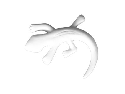 TA5299-Sticker Lizard, 12 ks v balení