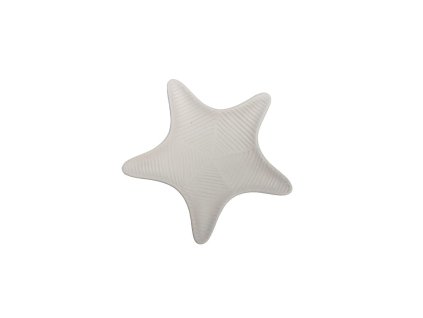 SESTI-Starfish Relief