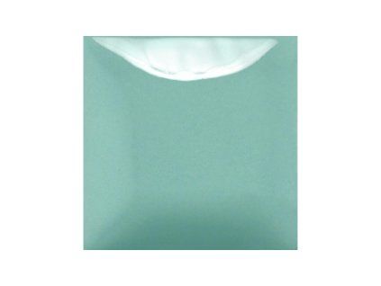 SC101-MAYCO Stroke & Coat 101 Spruce It Up