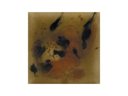 Mayco Jungle Gems 2725 Safari-S2725