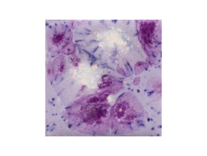 Mayco Jungle Gems 1006 Purple Reign-CG1006P