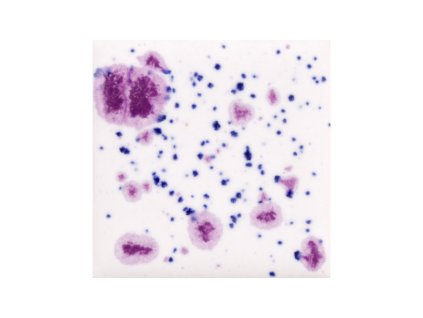 Mayco Jungle Gems 1011 Frosted Berries-CG1011P