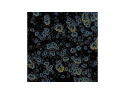 Mayco Jungle Gems 786 Obsidian -CG786P