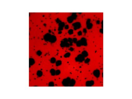 Mayco Jungle Gems 984 Ladybug -CG984P