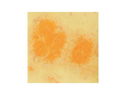 Mayco Jungle Gems 2729 Citrus Splash -S2729P