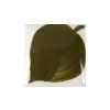 EZ071-Duncan-fired EZ071 Dark Olive