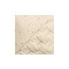 EG002-Engobe EG002 Speckled Buff