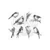 DSS108-Mayco Designer Silkscreen Aviary Small Birds