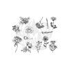 DSS112-Mayco Designer Silkscreen Flowers