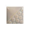EL-101-Elements Oyster Shell