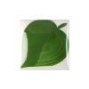 EZ033-Duncan-fired  EZ033 Ivy Green