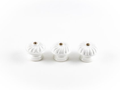 porcelan knopky bile lesk 2