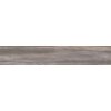 Dolphin grey DPR35250 dlažba imitace dřeva