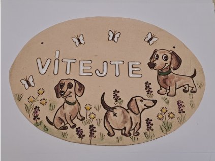 556153848 32275150932072066 1423714345114702170 n