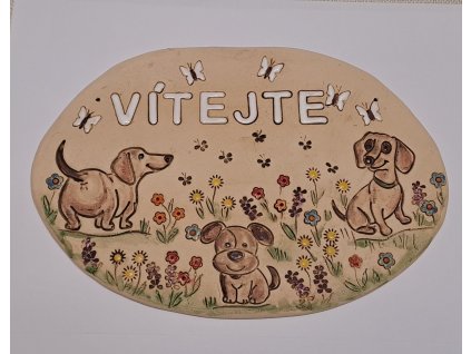 556138790 32275151738738652 3191524534979840285 n