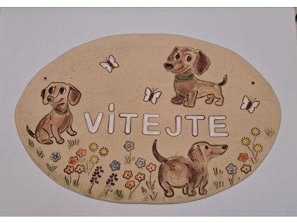 556795054 32275150592072100 5774958854004434332 n