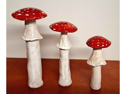 557392083 32401842082736283 215093286803372072 n