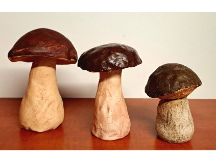 557302589 32401843639402794 207770245092327815 n