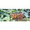 Malý truhlík -šneček
